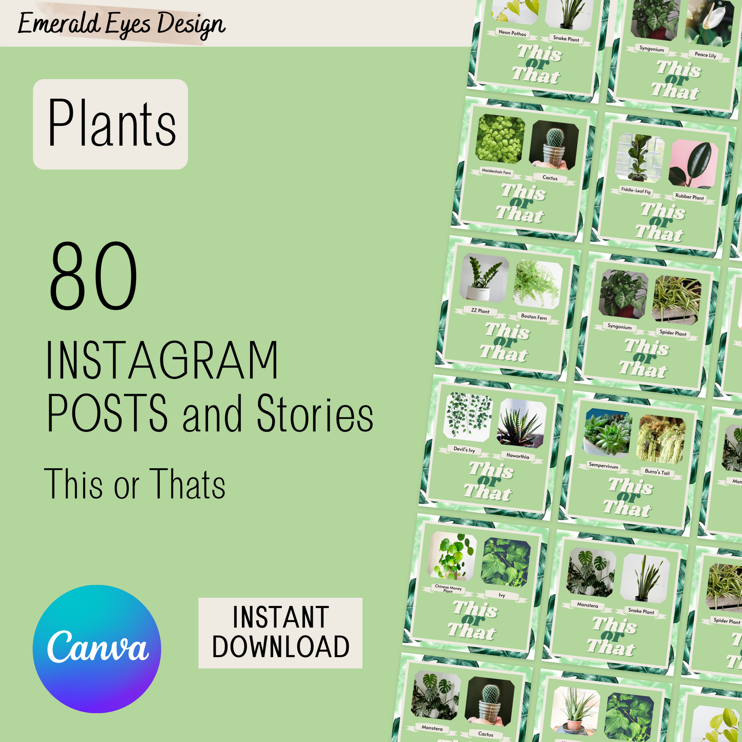 80 Canva Plant This or Thats Instagram Feed & Stories Content Gardens Gardener