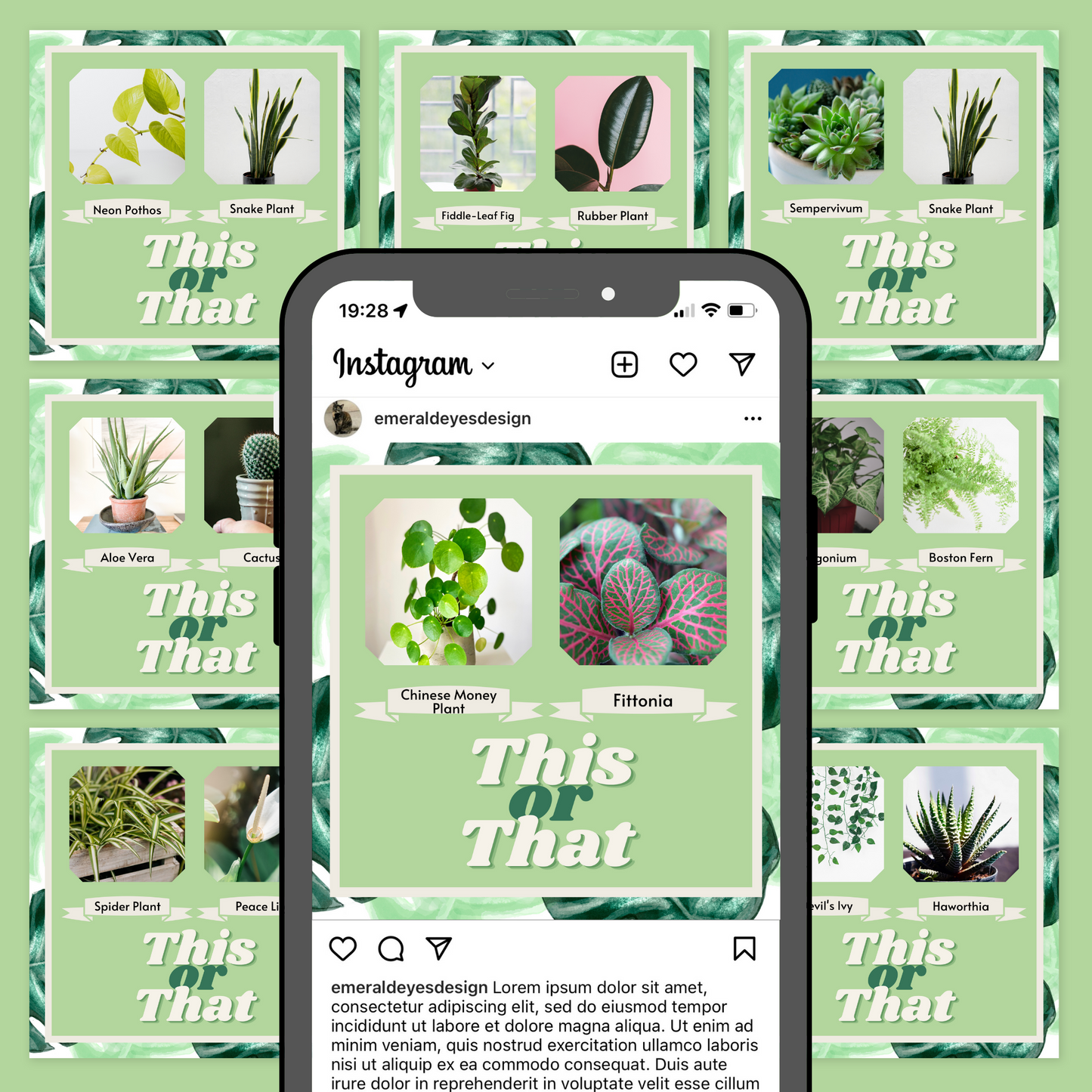 80 Canva Plant This or Thats Instagram Feed & Stories Content Gardens Gardener