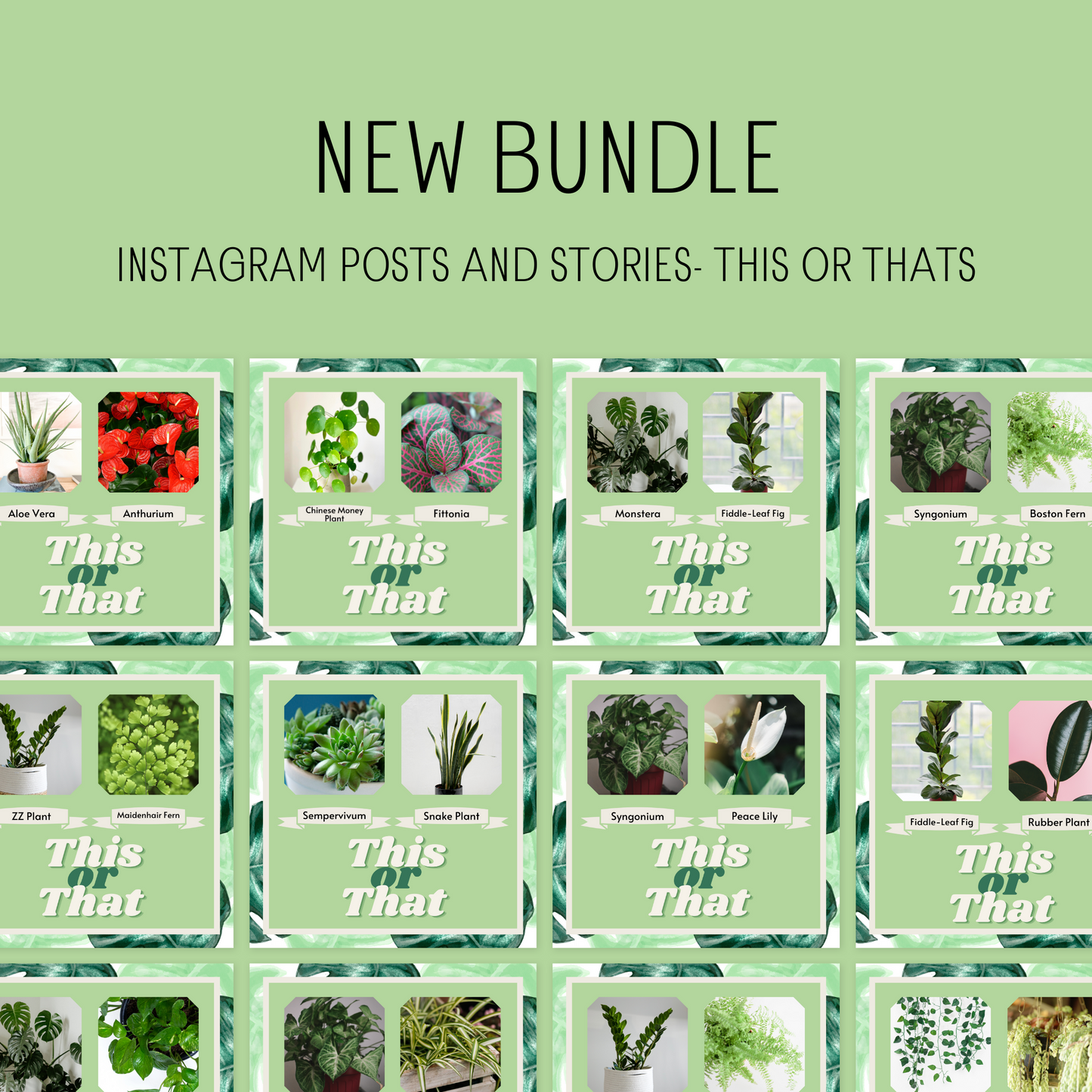 80 Canva Plant This or Thats Instagram Feed & Stories Content Gardens Gardener