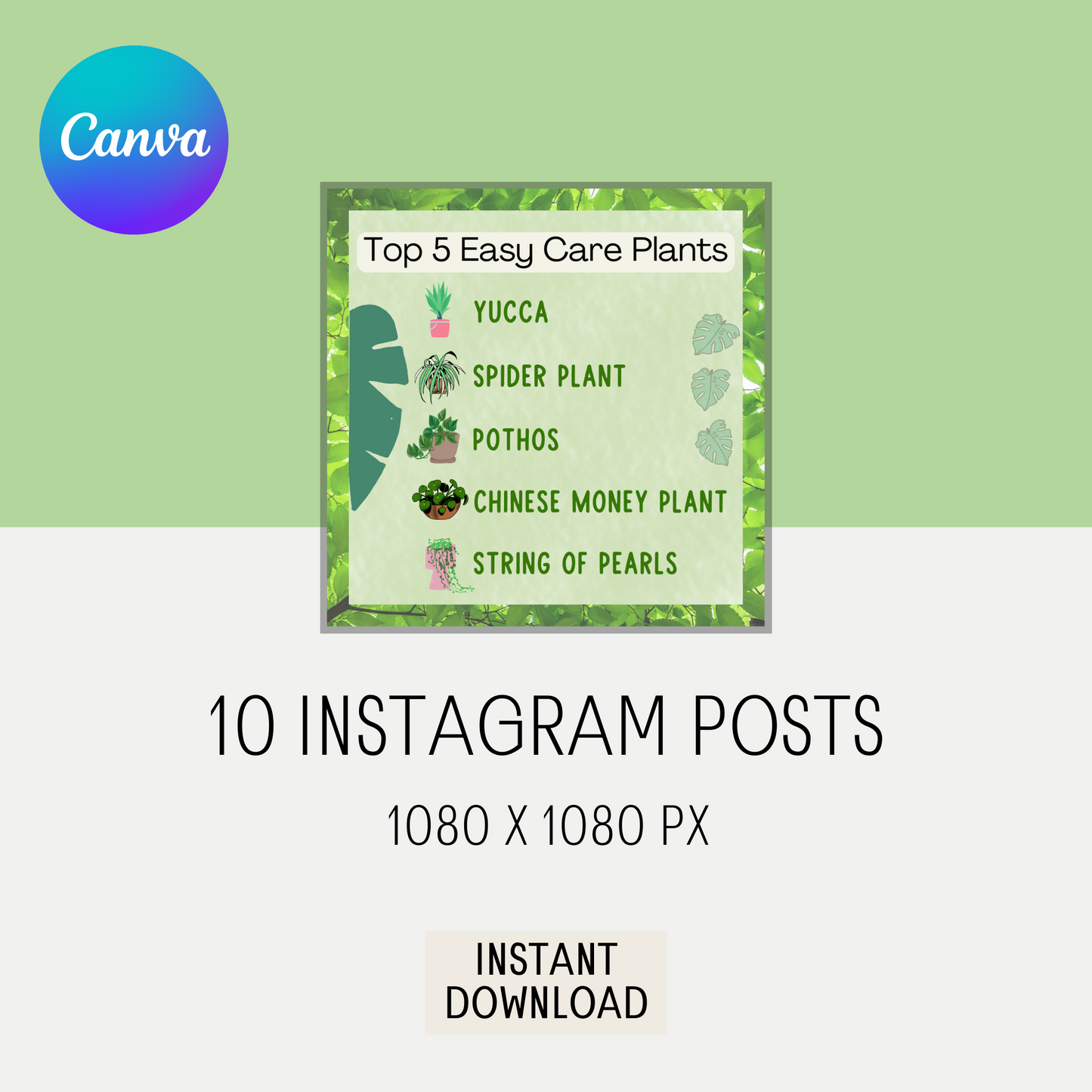 10 Canva Plant Top 5s Instagram Feed Post Content Garden Gardener Green