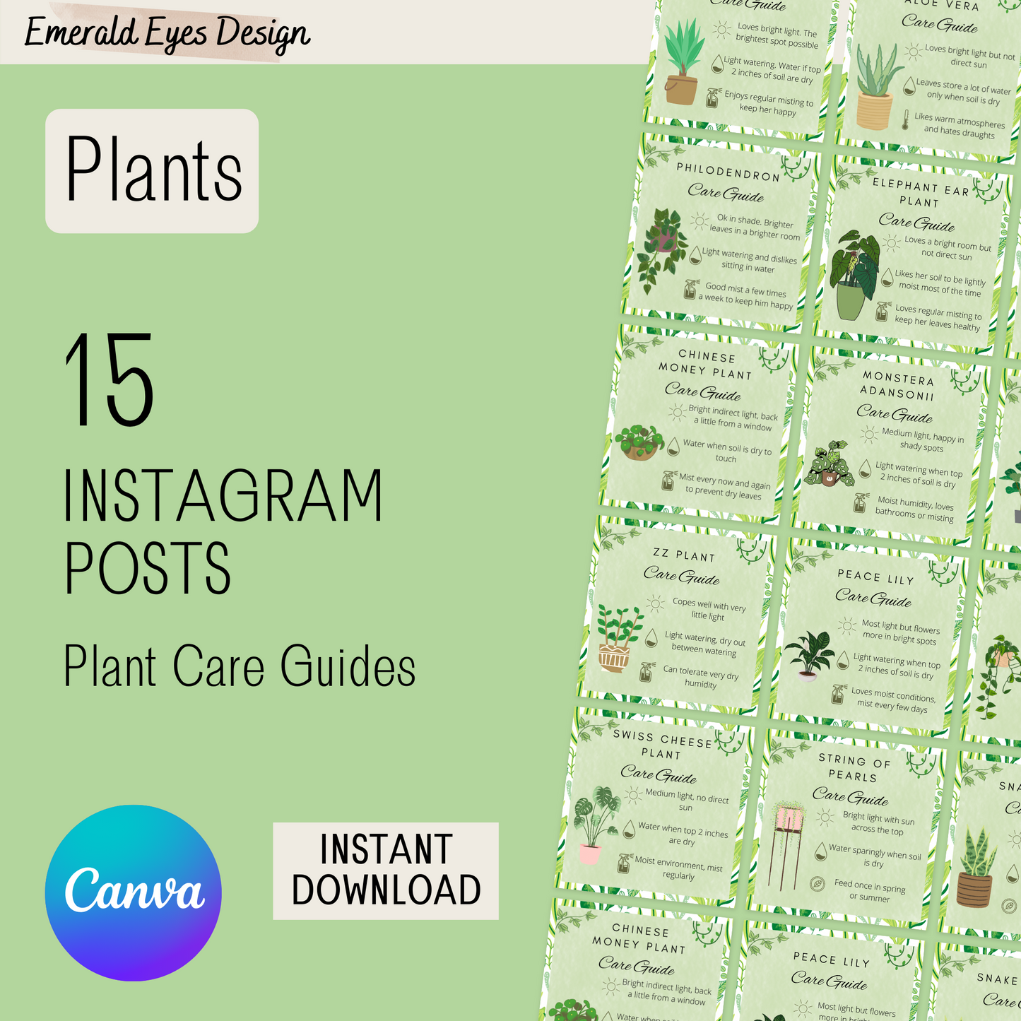 30 Canva Plant Care Guides Instagram Feed & Stories Content Houseplant Gardener