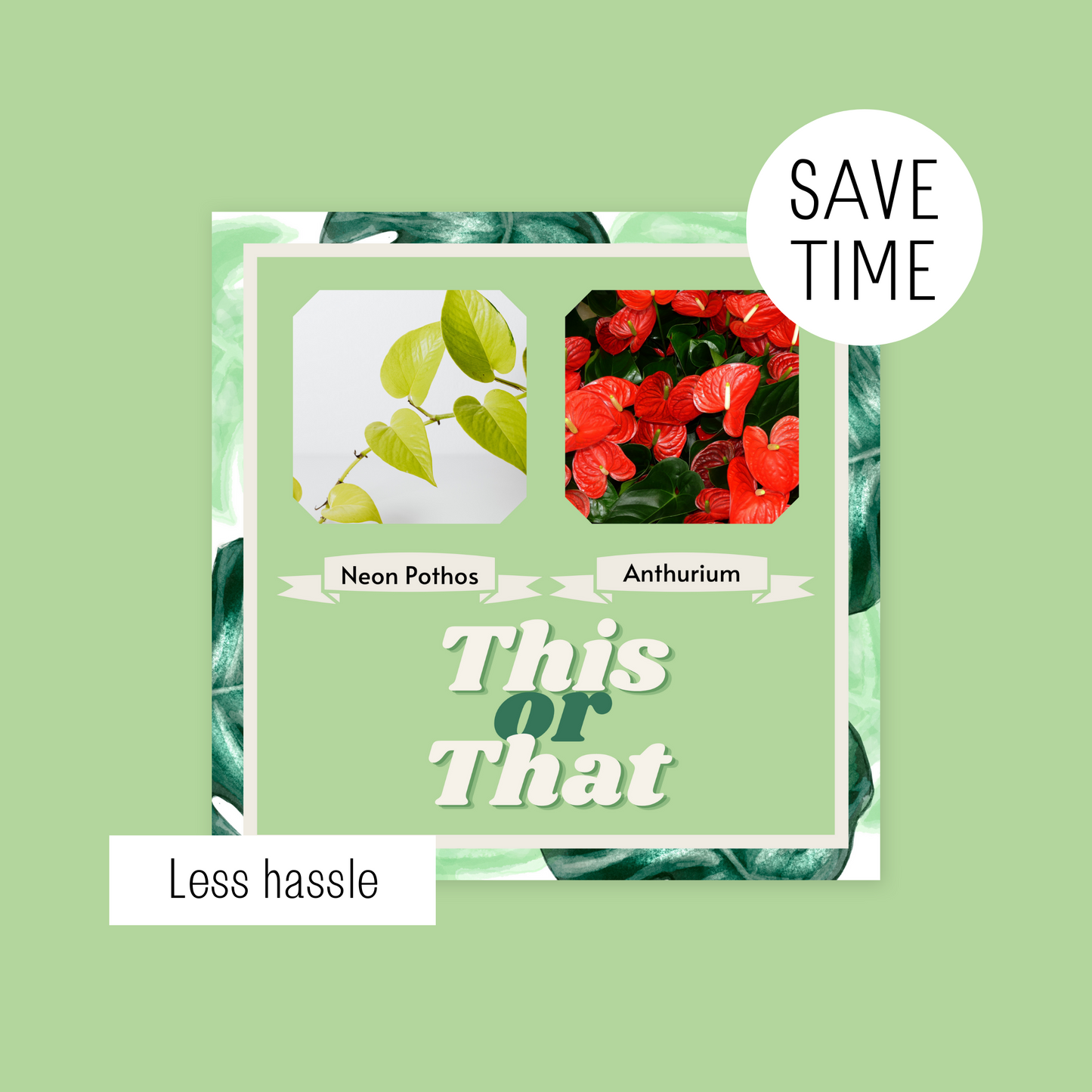 80 Canva Plant This or Thats Instagram Feed & Stories Content Gardens Gardener