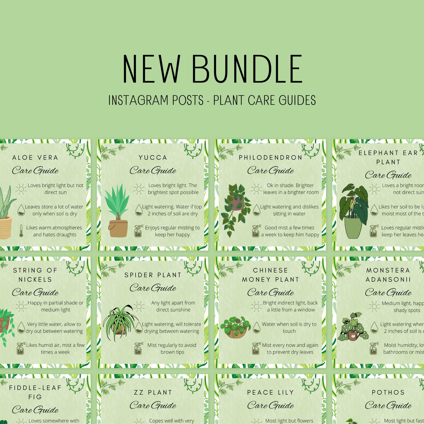 30 Canva Plant Care Guides Instagram Feed & Stories Content Houseplant Gardener