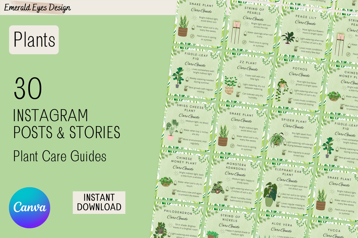 30 Canva Plant Care Guides Instagram Feed & Stories Content Houseplant Gardener