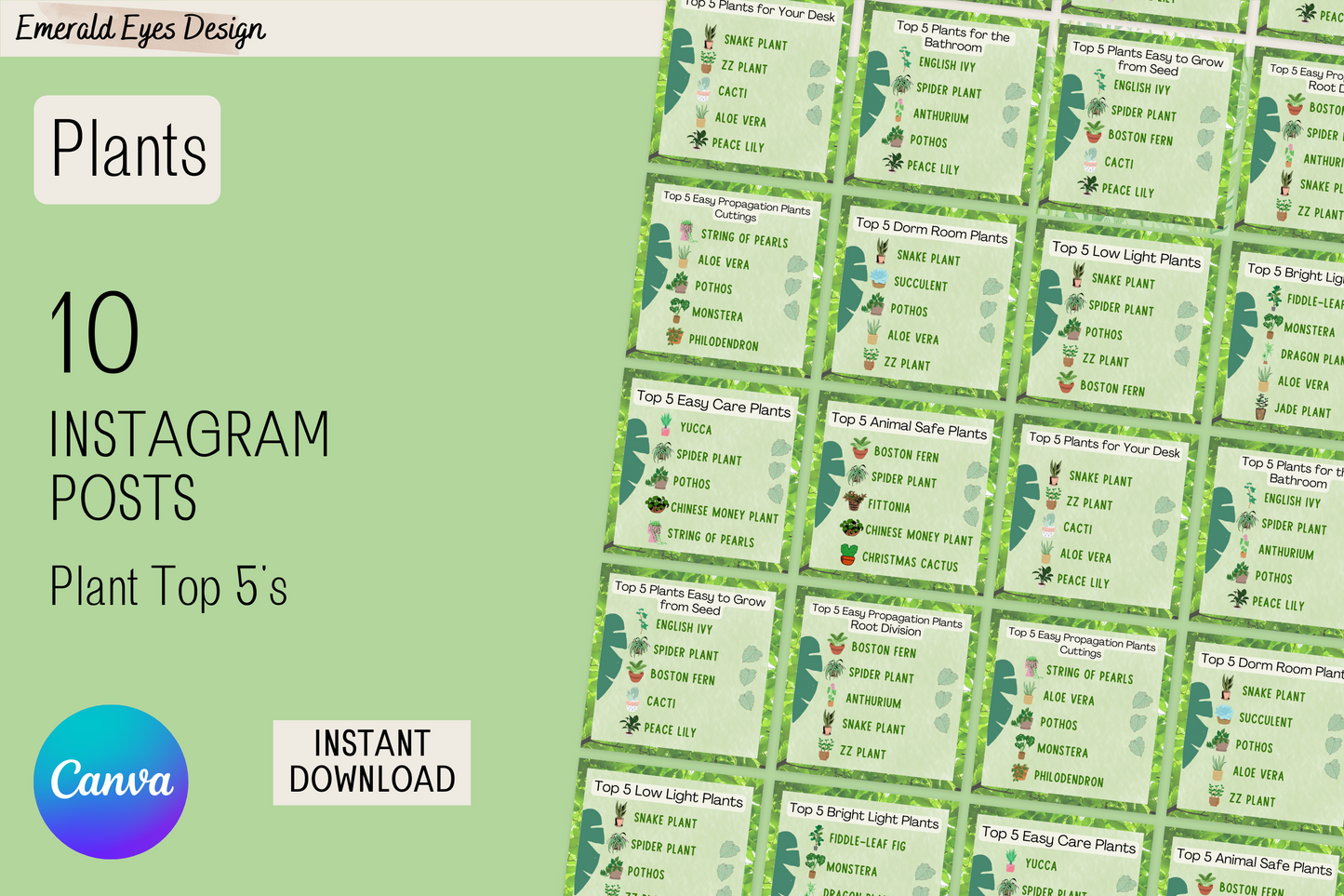 210 BUNDLE Canva Green Plant Themed Instagram Feed & Stories Templates and Content